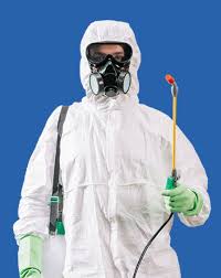 Эффективное Избавление от клопов Новосибирск способы и советы Эффективное Избавление от клопов Новосибирск способы и советы